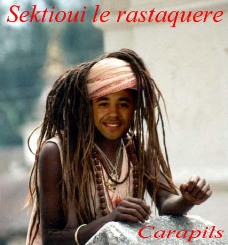 tarik sektioui